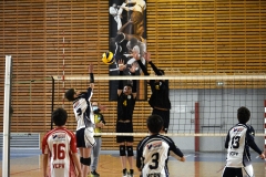 OK_DSC3499