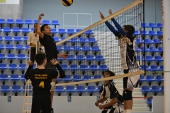 OK_DSC3532