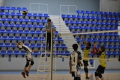 OK_DSC3650