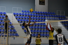 OK_DSC3653