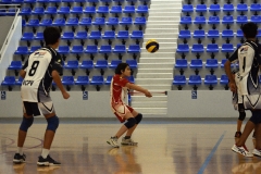 OK_DSC3656