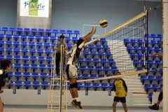 OK_DSC3672