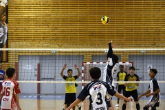 OK_DSC3729