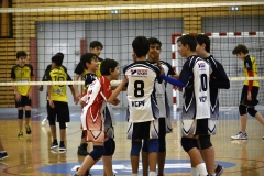 OK_DSC3740