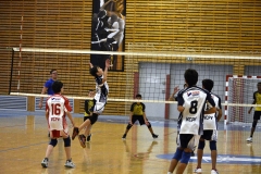 OK_DSC3753