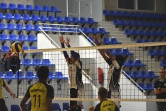 OK_DSC3846
