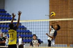 OK_DSC3847