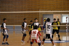 OK_DSC3858
