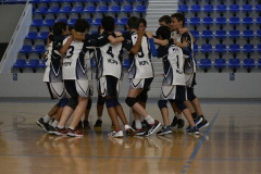 OK_DSC3904