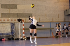 DSC00113