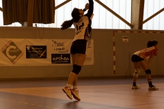DSC00179