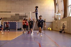 IMG_7285