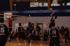 IMG_7353