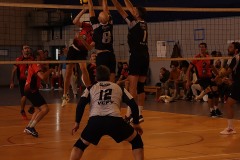IMG_7390
